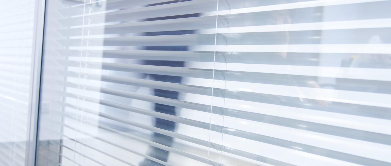 Internal blinds in a door.