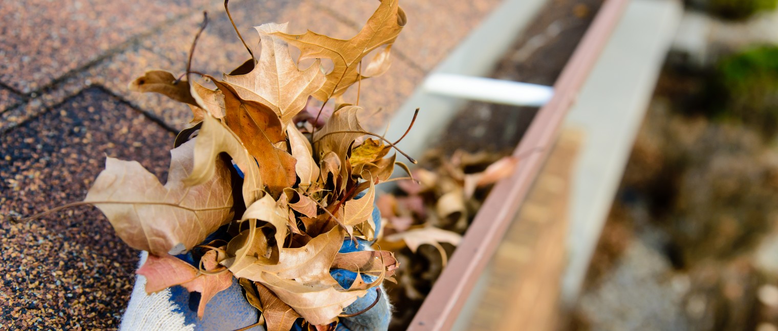 Leaves built up in the eavestrough of a home.