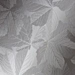 Sycamore Window Glass