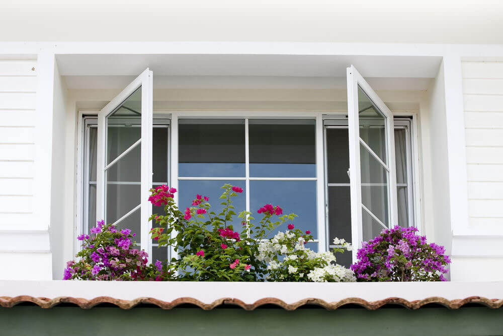 Exterior view of two open casement windows with flowers in front of them.