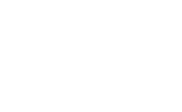 Beverley Hills Windows and Doors Logo